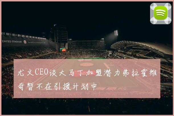 尤文CEO谈大马丁加盟潜力弗拉霍维奇暂不在引援计划中